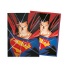 Dragon Shield Card Sleeves - DC Comic Art Sleeves 100Ct Pack