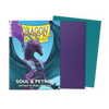 Dragon Shield Game Sleeves Matte Dual 100Ct Pack